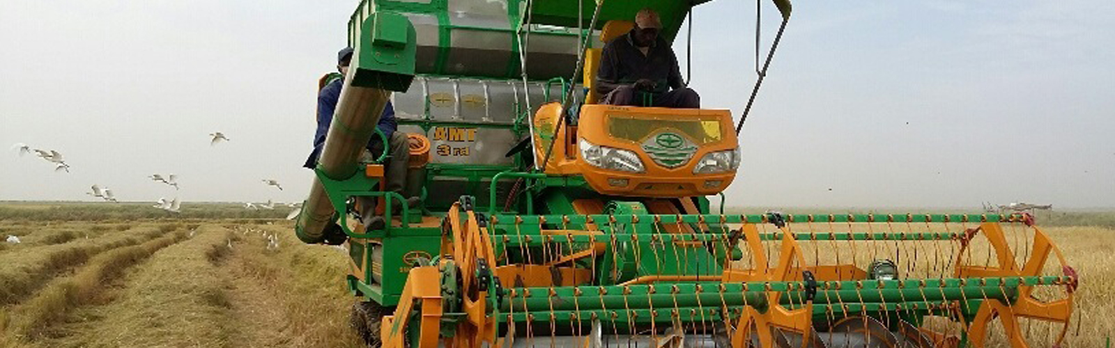 Limited Mechanization in Zambia