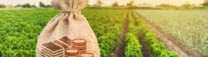 Small Farms Benefit for Big Companies